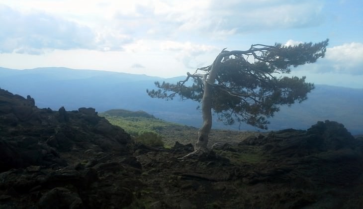 escursioni nebrodi - escursioni naturalistiche sicilia