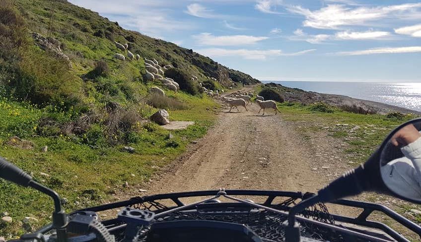 quad tour agrigento - Escursioni agrigento