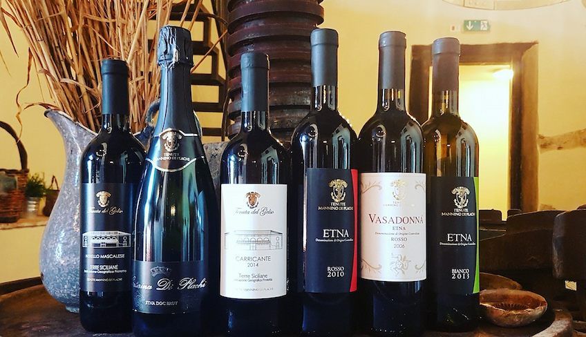 Degustazione vini etna  - Degustazione vini catania