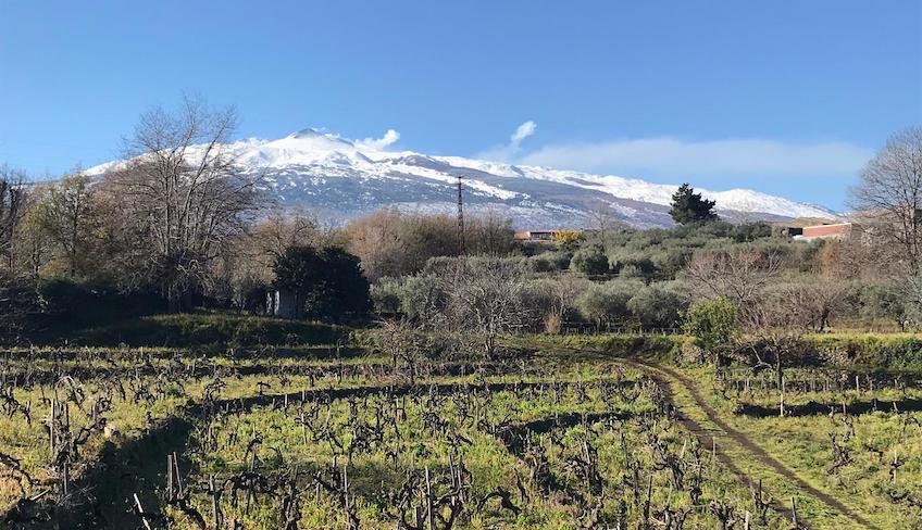 Degustazione vini etna  - Degustazione vini catania