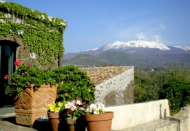 Degustazione vini etna-Degustazione vini catania-Vini etna cantine