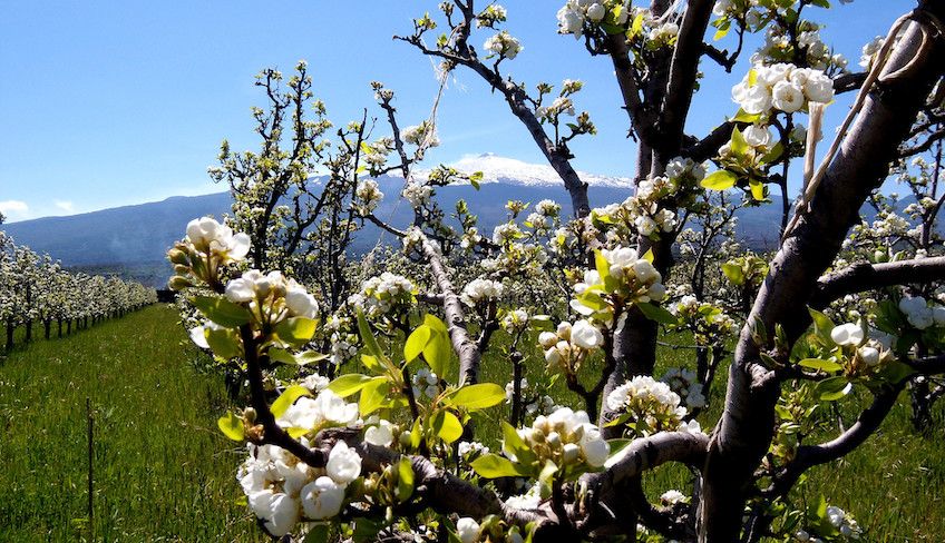 cosa fare alle gole dell alcantara - Degustazione vini etna