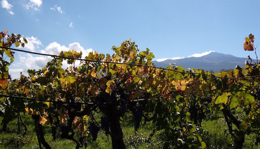 cosa fare alle gole dell alcantara - Degustazione vini etna