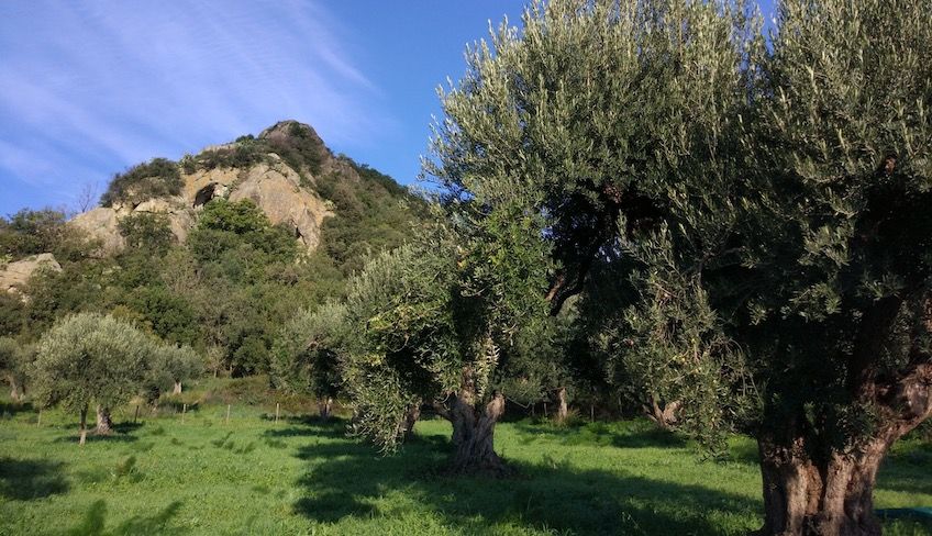 escursioni gole dell alcantara - visita gole dell alcantara