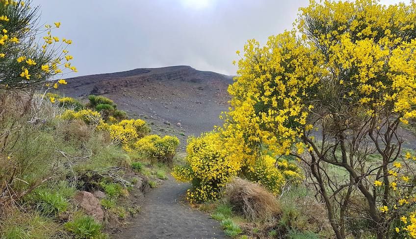 escursioni stromboli - trekking stromboli