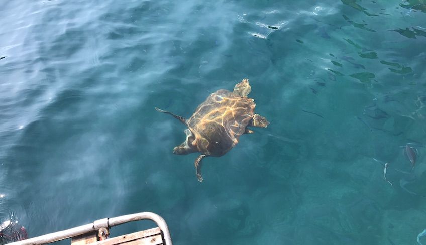 escursioni in barca taormina - addio al nubilato taormina