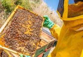 cosa fare a enna-enna cosa vedere-posti da visitare in sicilia