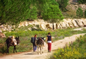 cosa vedere a enna-visitare enna-parco floristella