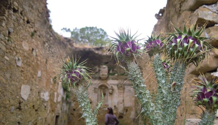 trekking sicilia orientale  - trekking sicilia