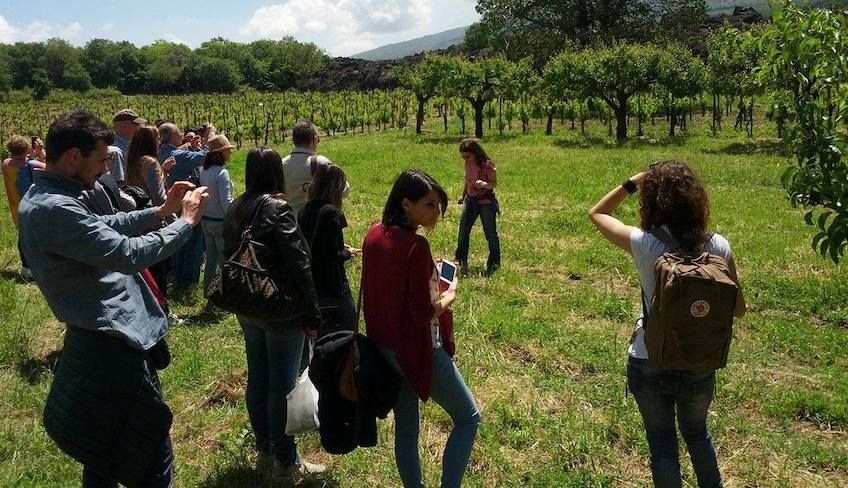 treno dei vini etna - Etna wine tour