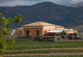 degustazione vini etna - vini etna cantine 