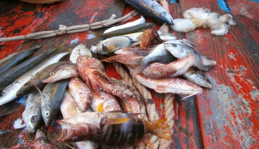 pescaturismo messina - escursioni in barca sicilia