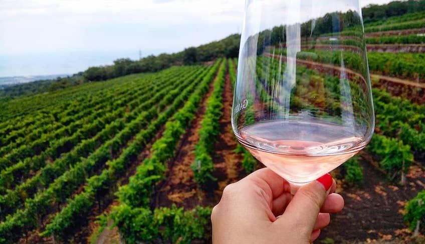 cantine etna da visitare  - aziende vinicole etna 