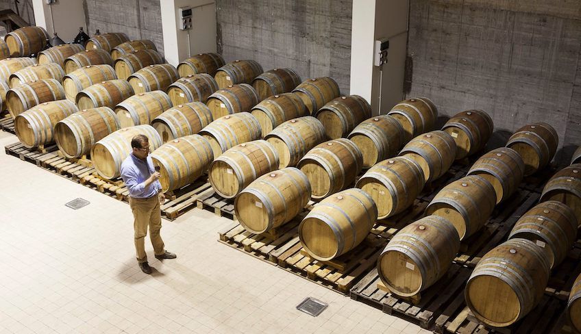 cantine etna da visitare  - aziende vinicole etna 