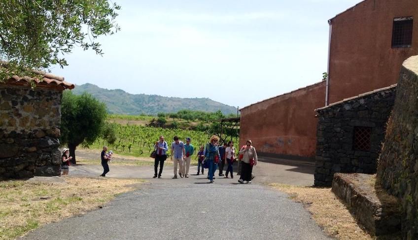 cantine etna da visitare  - aziende vinicole etna 