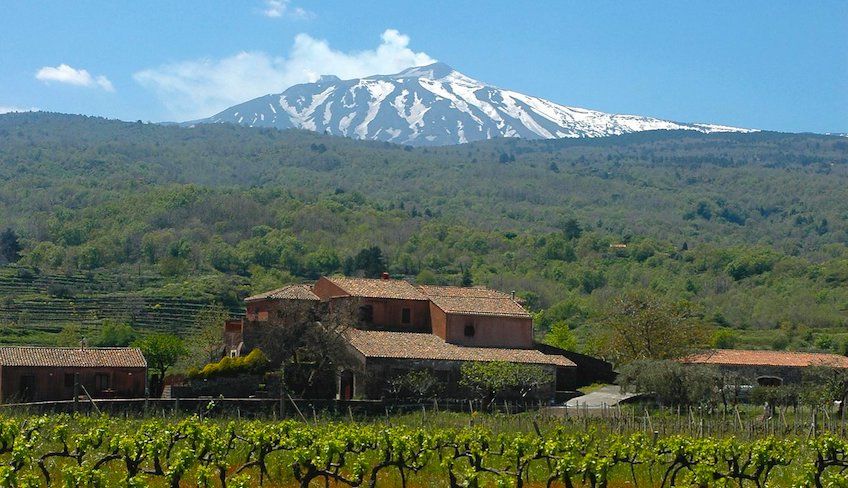 degustazione vini etna - cantine etna degustazione