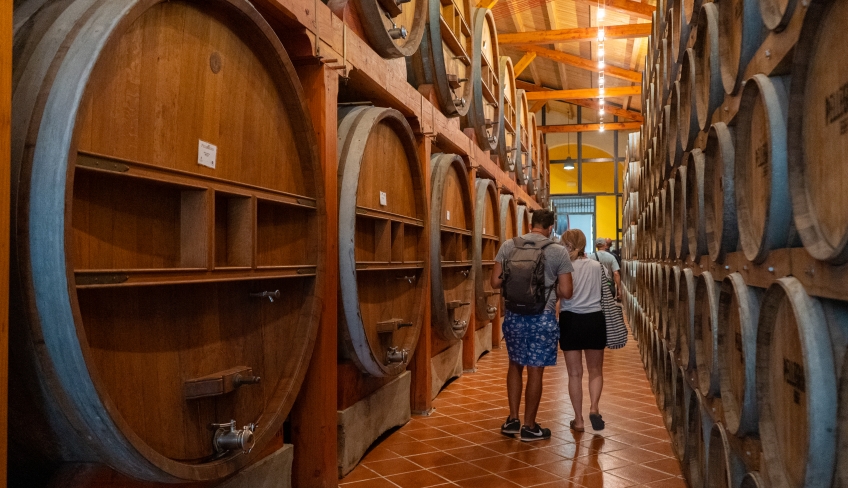 tour all'interno della cantina