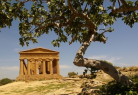 visite Agrigento - tour Agrigento 