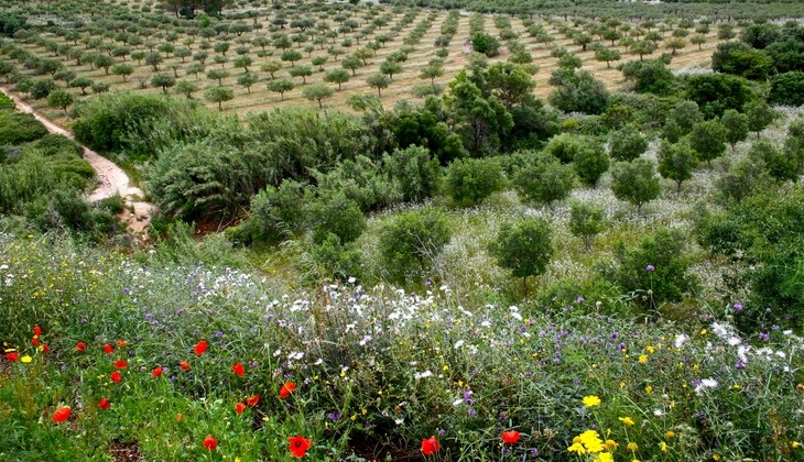 tour enogastronomico sicilia - itinerari trapani