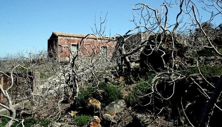 escursioni etna - trekking etna