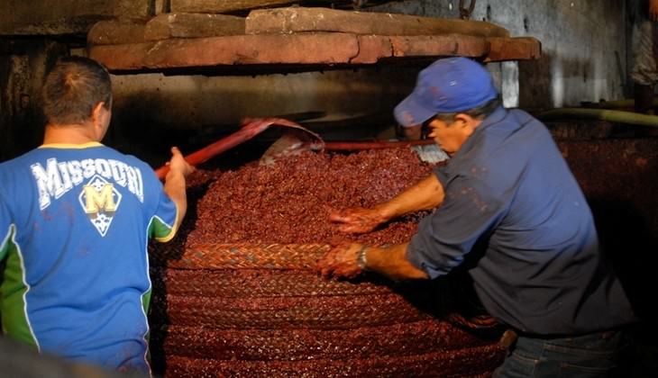 mangiare sull'etna - degustazione vini etna