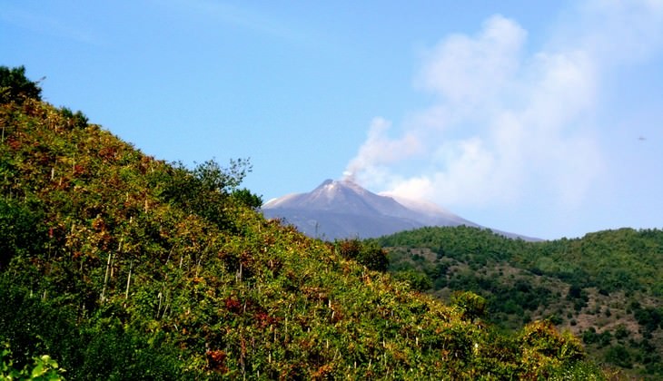 mangiare sull'etna - degustazione vini etna