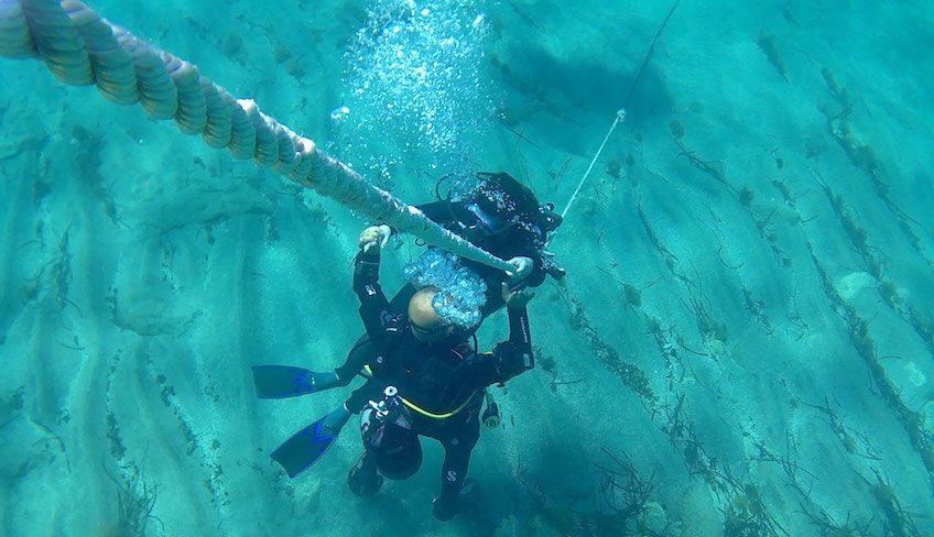 diving siracusa - immersioni siracusa