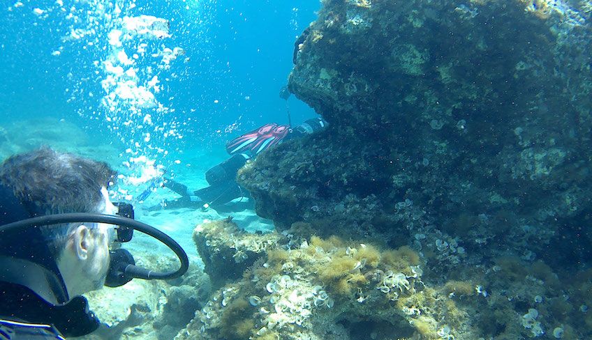 diving siracusa - immersioni siracusa