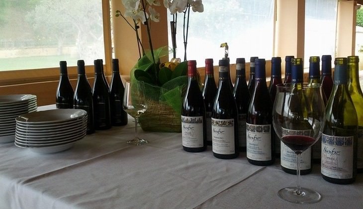 degustazione vini catania - degustazione vini sicilia