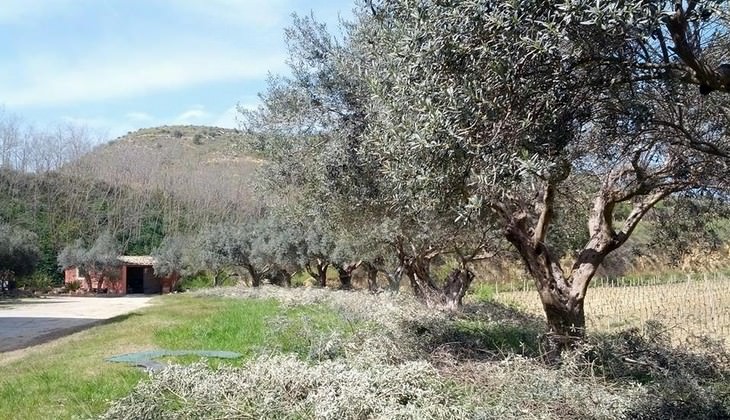 mangiare a caltagirone - aziende vinicole catania