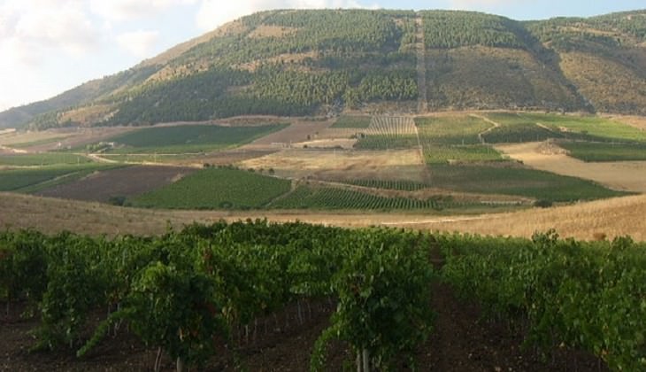 cantine marsala - degustazione vini sicilia