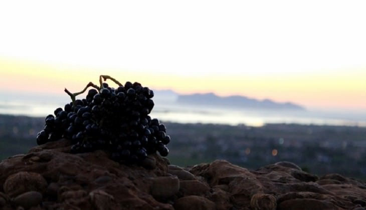 cantine marsala - mangiare a marsala