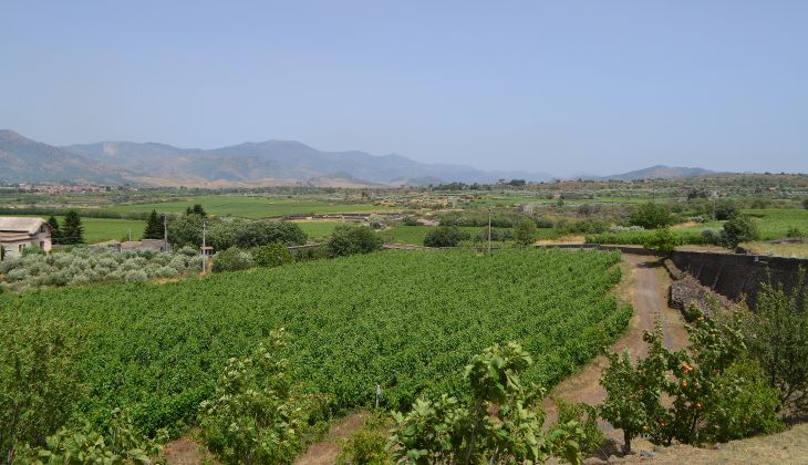 cantine etna - degustazione vini etna