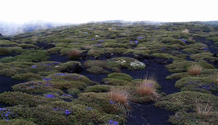 Escursione etna - trekking etna