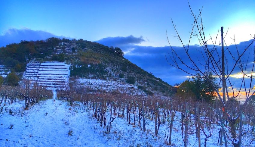 cantine etna - degustazione vini etna