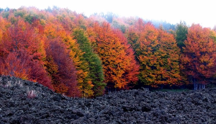 Escursione etna - trekking etna