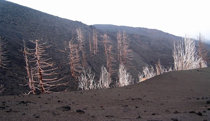 Escursione etna - trekking etna