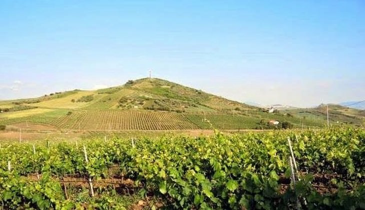 cantine palermo - vini palermo