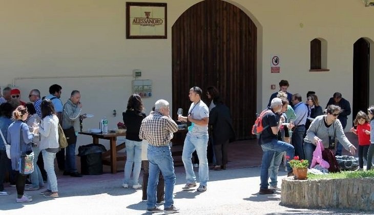 cantine palermo - vini palermo