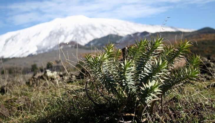 Escursione etna - trekking etna