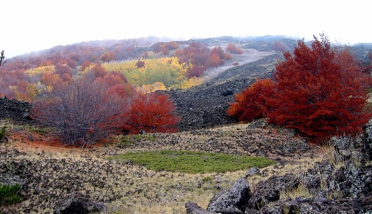 Escursione etna - trekking etna