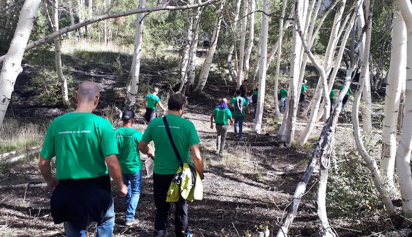 escursioni etna - escursioni nebrodi