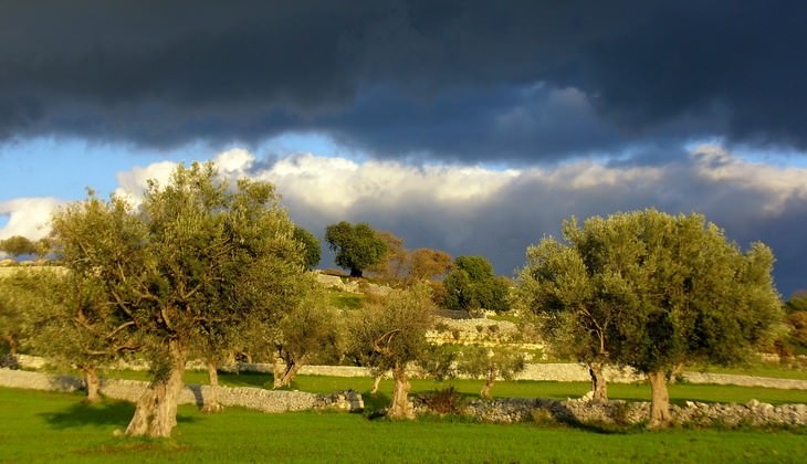 riserva vendicari - riserva naturale sicilia