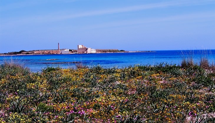 riserva vendicari - riserva naturale sicilia