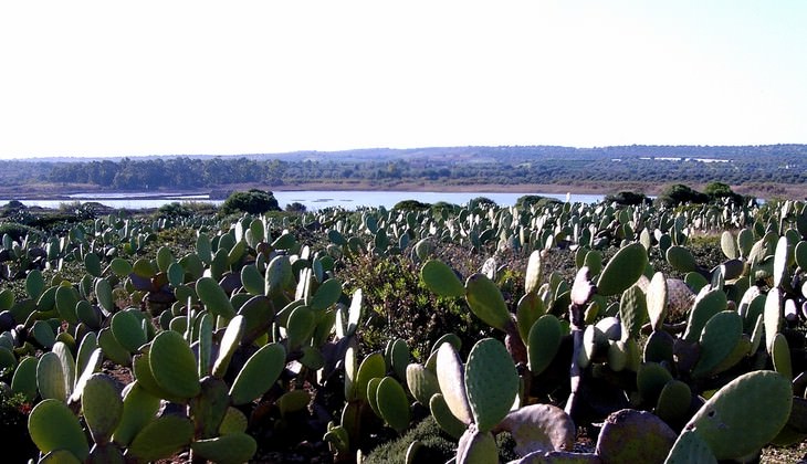 riserva vendicari - riserva naturale sicilia