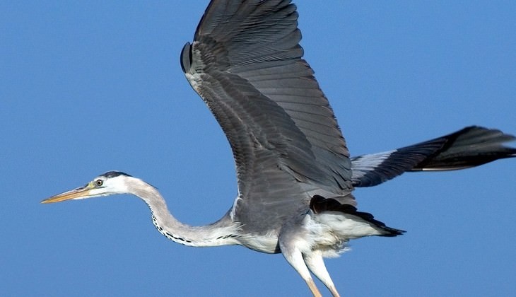 riserva vendicari - riserva naturale sicilia