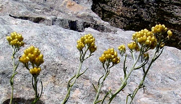 necropoli di pantalica - patrimonio unesco sicilia