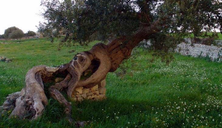 necropoli di pantalica - patrimonio unesco sicilia