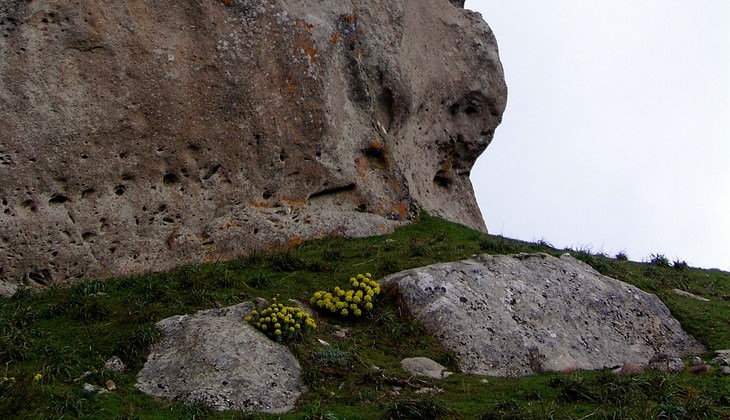 rocche dell’argimusco - bosco di malabotta