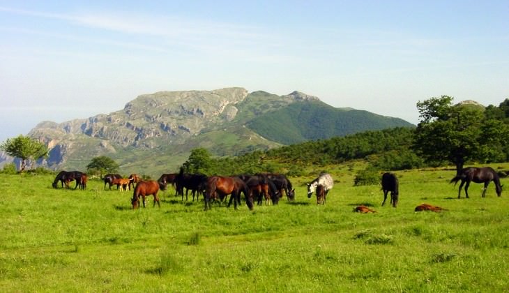 parco nebrodi - parco nebrodi escursioni